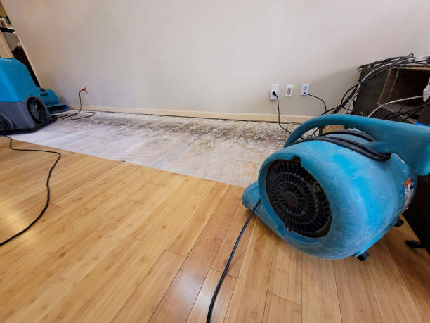 Professional Structural Drying technician working in Goleta, CA